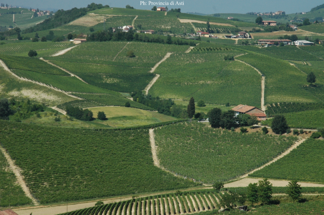 Paesaggio di Castelnuovo Calcea (2)