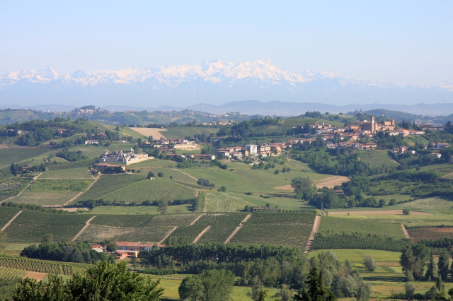Paesaggio di Castelnuovo Calcea (4)