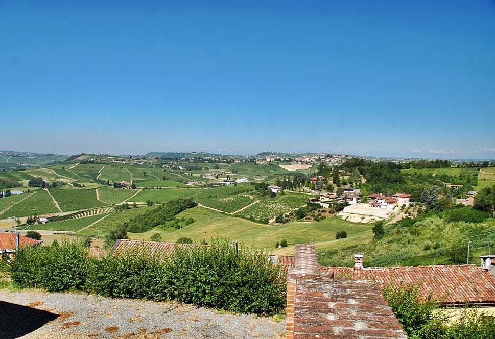 Avviso: l'Associazione Paesaggi Vitivinicoli "UNESCO" cerca materiale storico del territorio